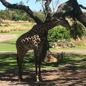 Meet your Posher, Jen